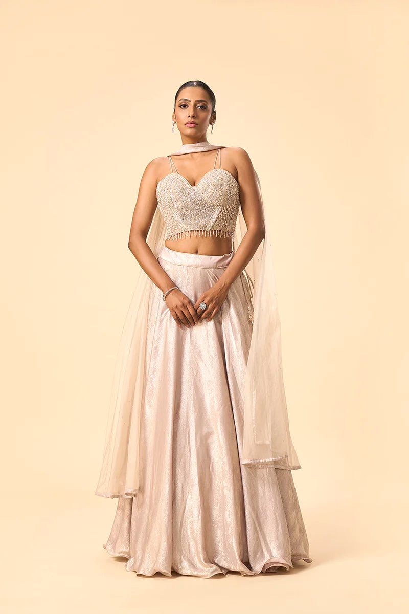 Silver Corset Blouse with Crape Lehenga